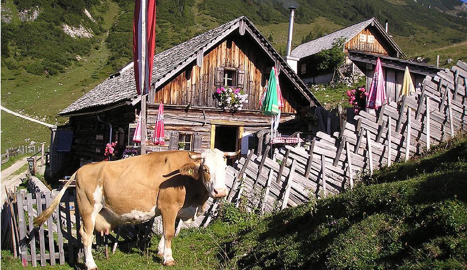 Apartment Haus Van Der Leij Rußbach am Paß Gschütt Exteriör bild